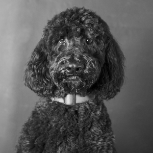 Fundraising Page: Mulligan Wetzel